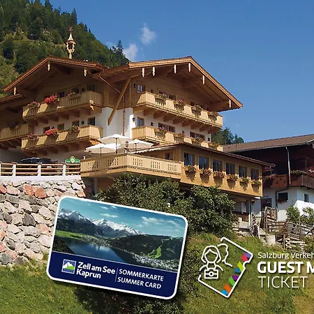 جاوزن ستاسيون فيفرباور