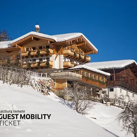 Jausenstation Pfefferbauer Guest house